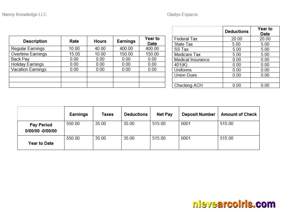 Nanny Knowledge LLC pay stub
